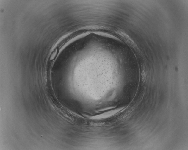 X0000076390484200610271557