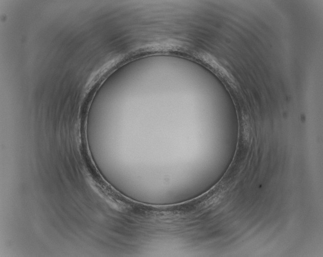 X0000076390486200610271556