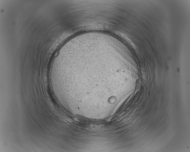 X0000076390487200610271556