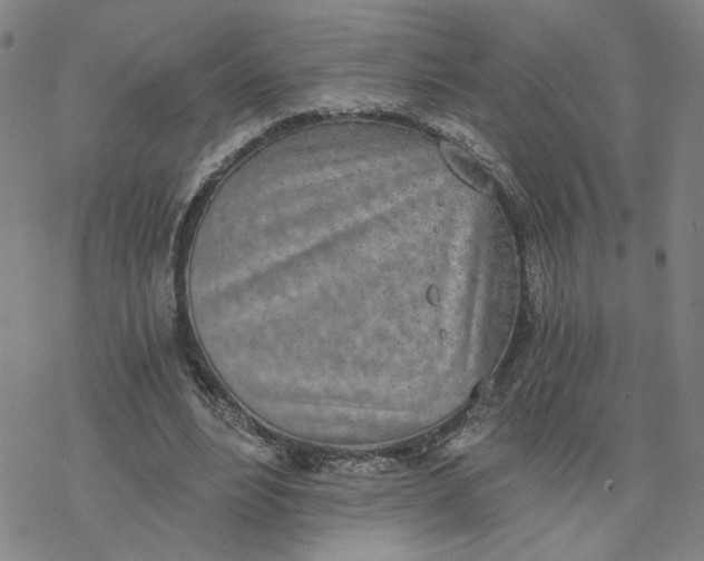 X0000076390488200610271556