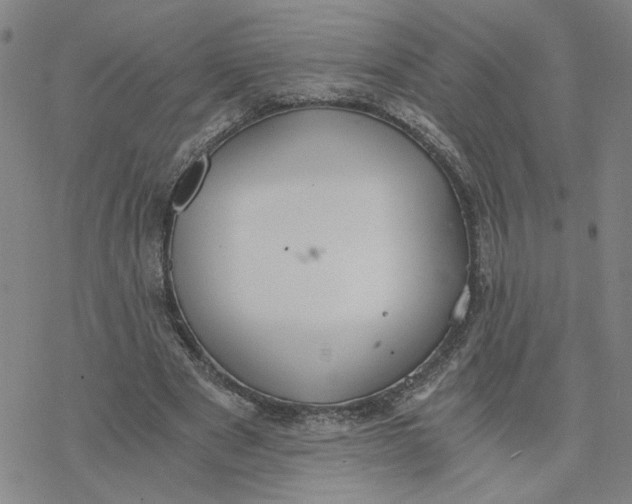 X0000076390489200610271556