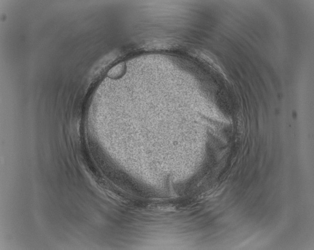 X0000076390491200610271556