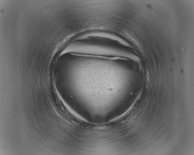 X0000076390492200610271556