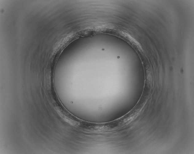 X0000076390493200610271556