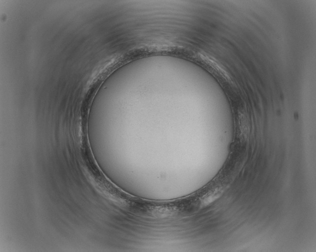 X0000076390494200610271556