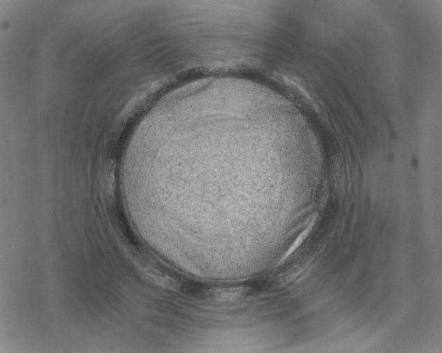 X0000076390495200610271556