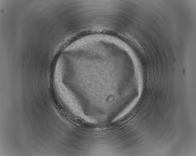 X0000076390496200610271556