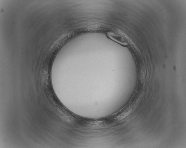 X0000076390497200610271556