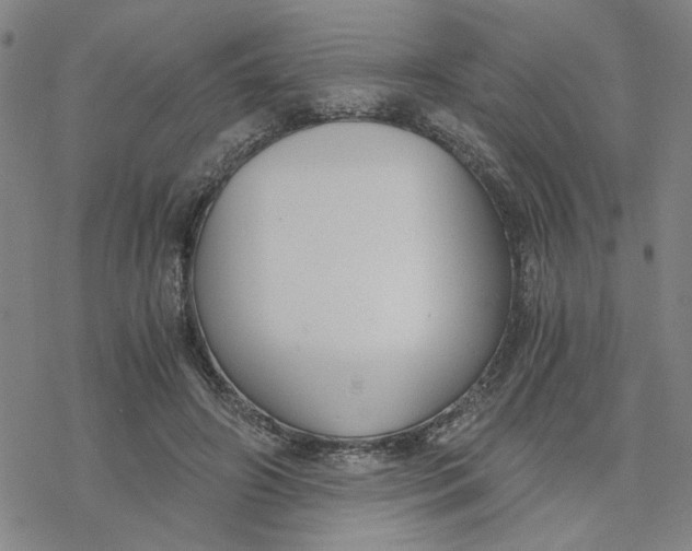 X0000076390498200610271556