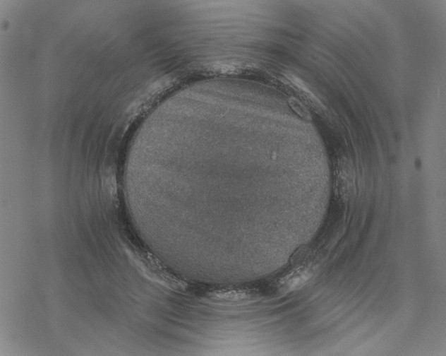 X0000076390500200610271556