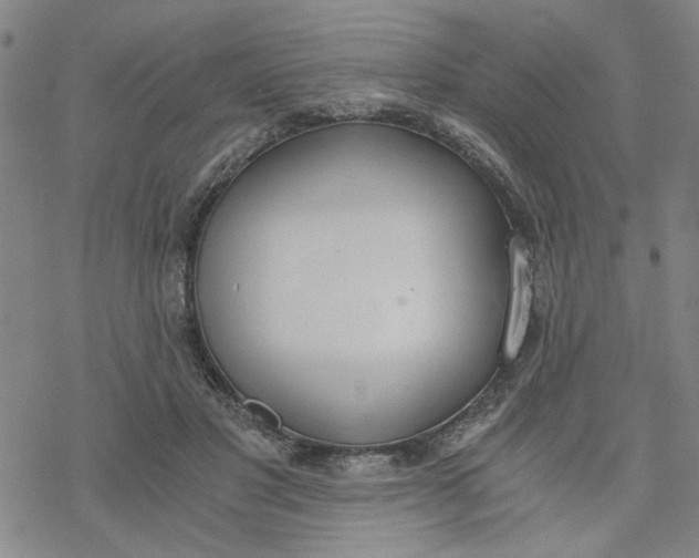 X0000076390501200610271556