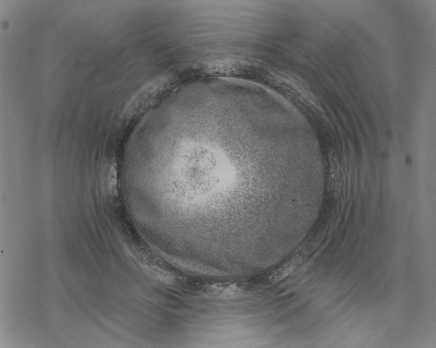 X0000076390502200610271556