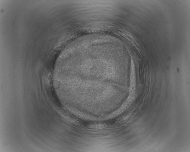 X0000076390503200610271556