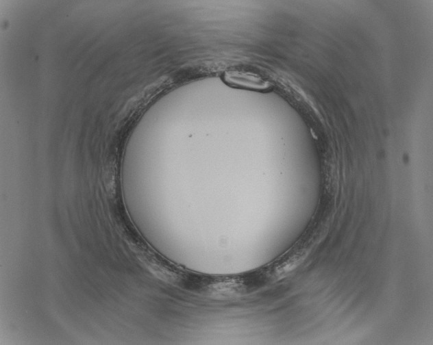 X0000076390505200610271556