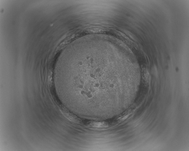 X0000076390507200610271556