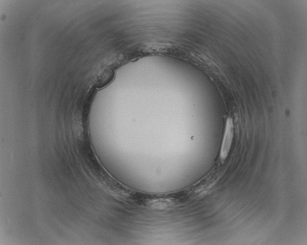 X0000076390508200610271556