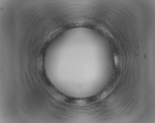 X0000076390509200610271556