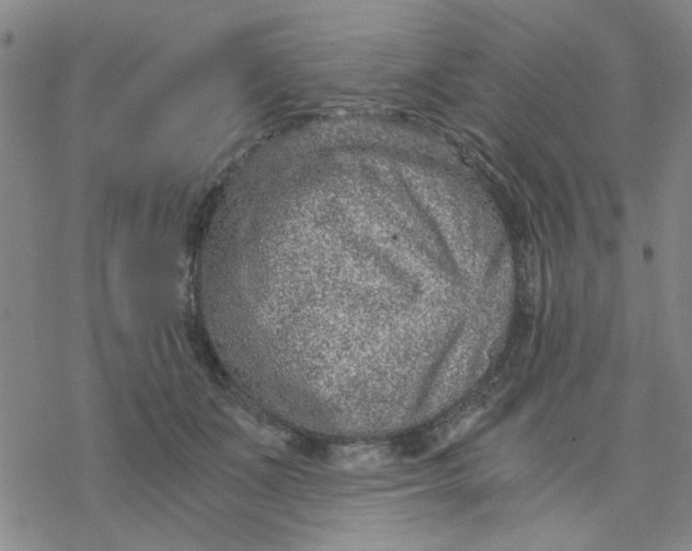 X0000076390511200610271556