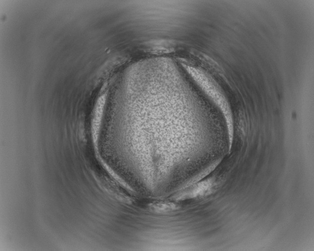 X0000076390512200610271556