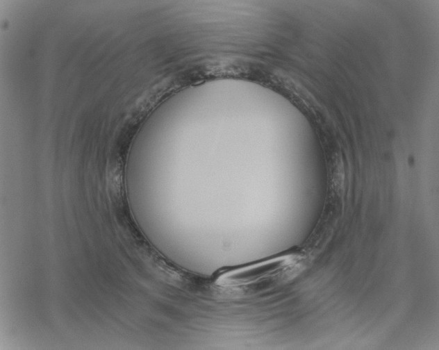 X0000076390513200610271556