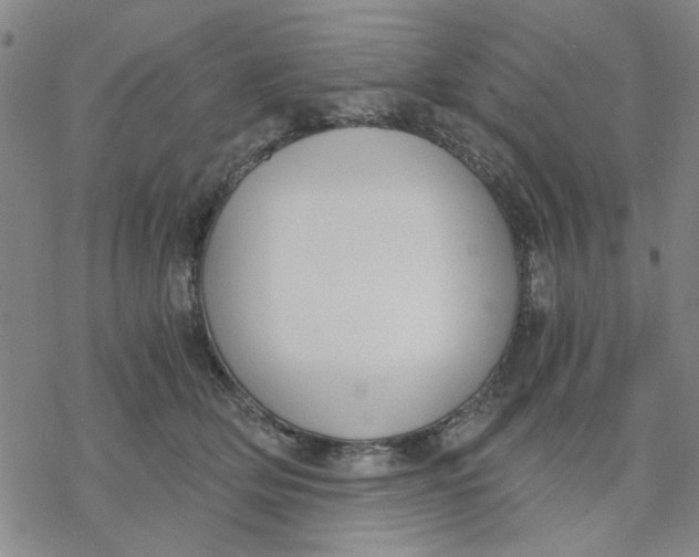 X0000076390514200610271556