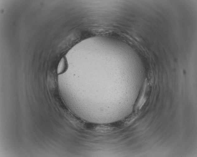 X0000076390515200610271556