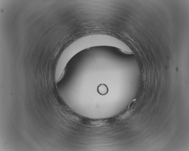 X0000076390516200610271556