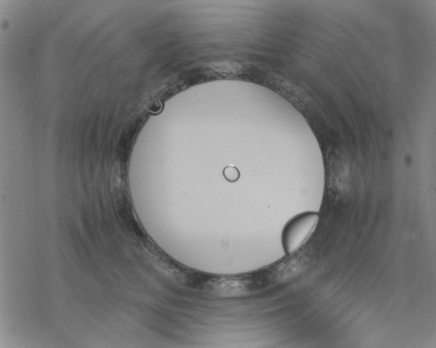 X0000076390518200610271556