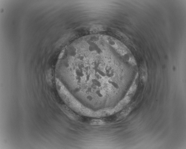 X0000076390519200610271556