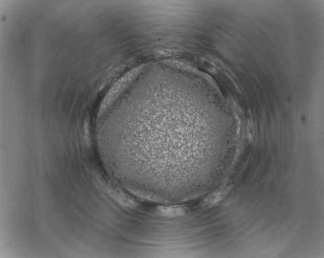 X0000076390520200610271556