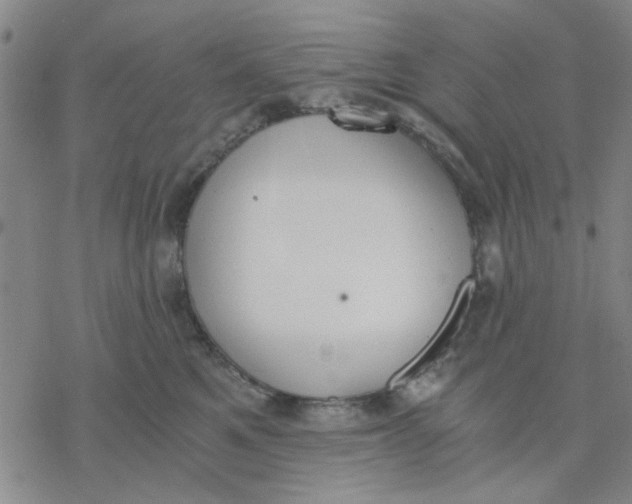 X0000076390521200610271556