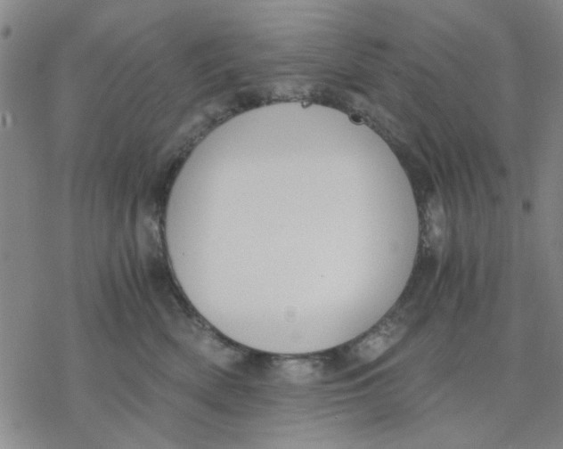 X0000076390522200610271556