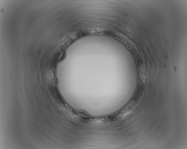 X0000076390523200610271556