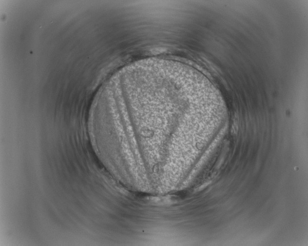 X0000076390524200610271556