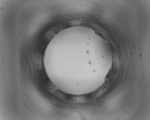 X0000076390525200610271556