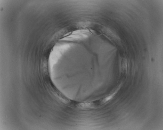 X0000076390526200610271556