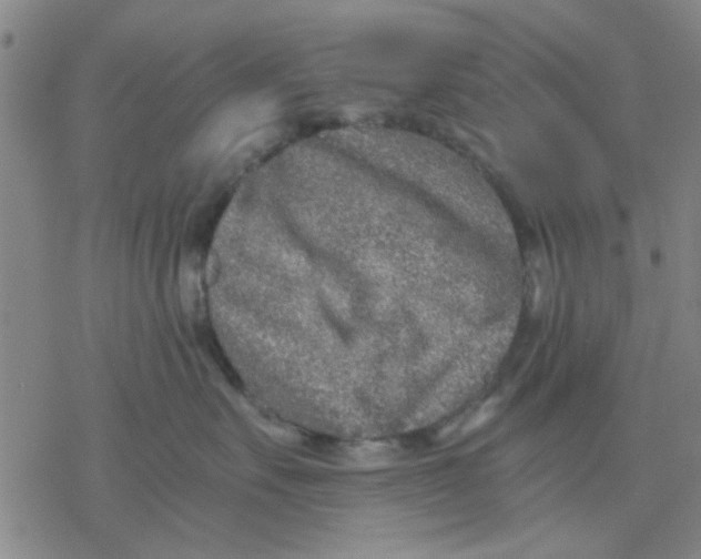 X0000076390527200610271556