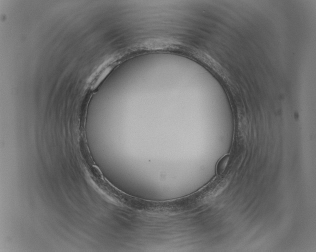 X0000076390530200610271555