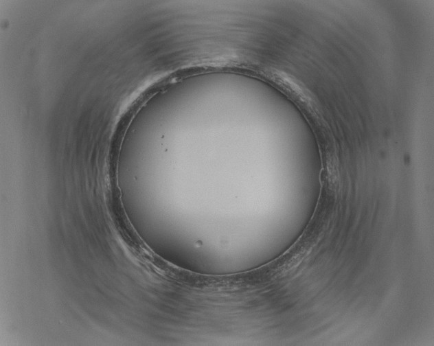 X0000076390532200610271555