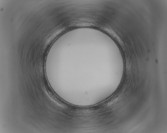 X0000076390533200610271555