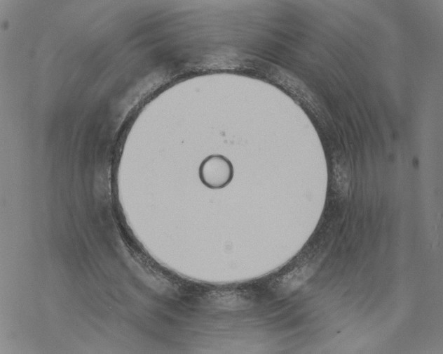 X0000076390534200610271555