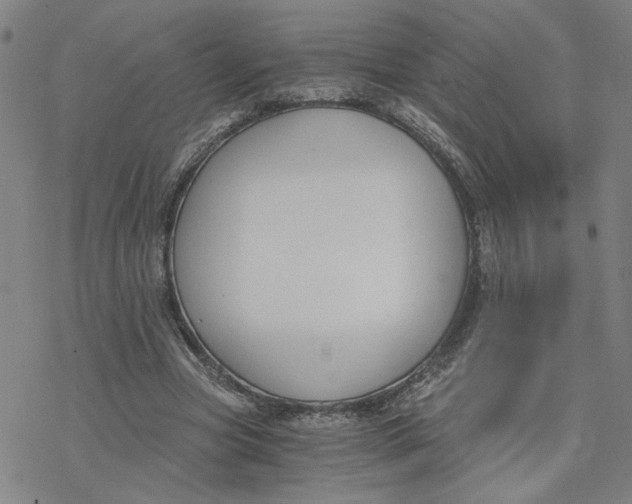 X0000076390537200610271555