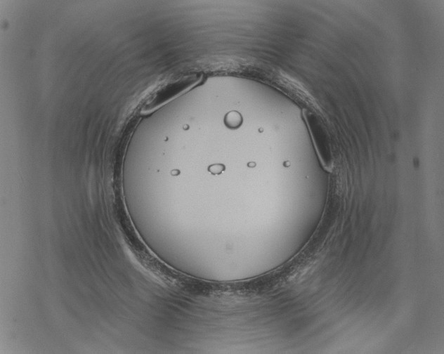 X0000076390538200610271555