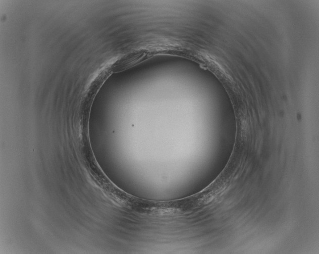 X0000076390539200610271555