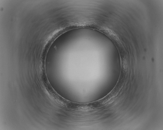 X0000076390540200610271555