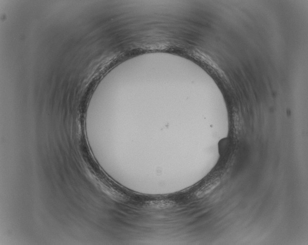 X0000076390541200610271555