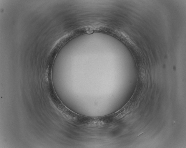 X0000076390543200610271555