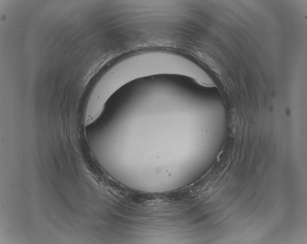 X0000076390544200610271555