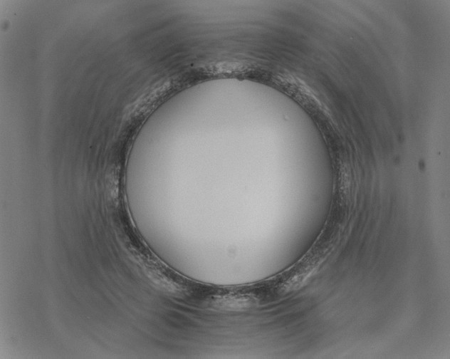 X0000076390545200610271555