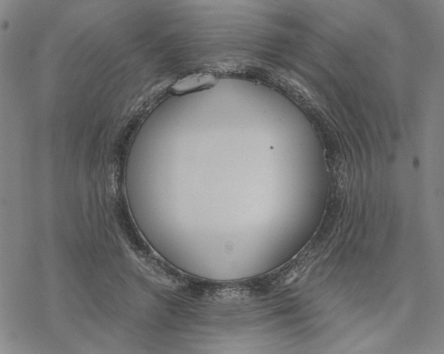 X0000076390546200610271555